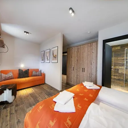 Near Anfaengerpiste Ski-lift Horská chata *